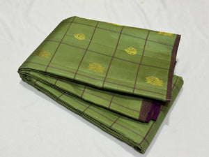 Pastel Green with Purple 1000 Buttas Borderless Handwoven Pure Jari Kanjivaram Silk Saree Beauty