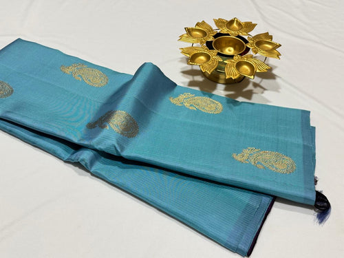 Light  Blue with Purple Borderless Handwoven Pure Kanjivaram Silk Saree with muthukattam and buttas beauty